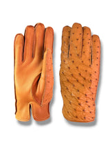 Guanti da uomo in vera pelle metis e dorso struzzo foderati in cashmere.