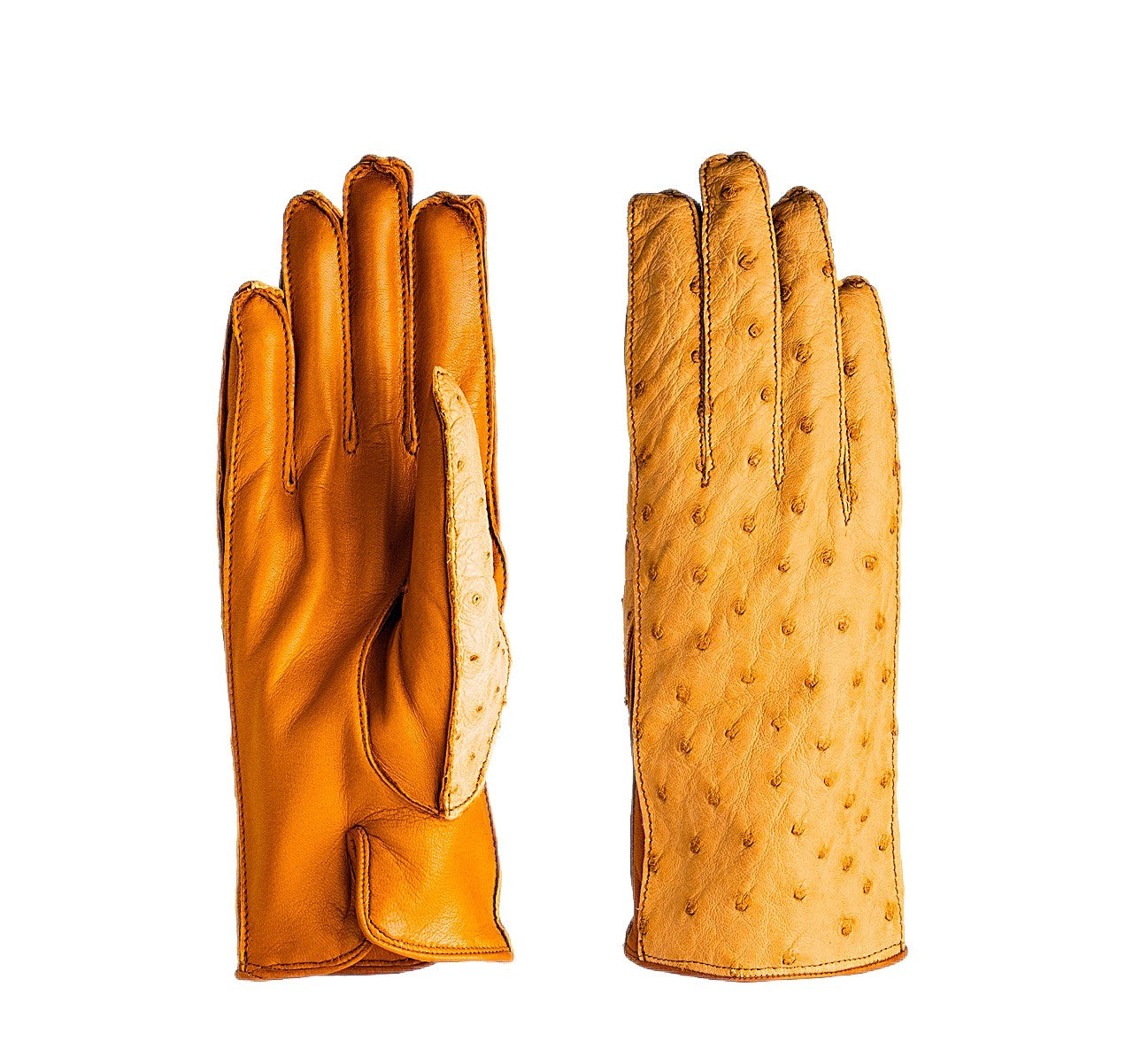 Guanti da donna in vera pelle metis e dorso struzzo foderati in cashmere.