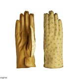 Women's gloves in genuine metis leather and ostrich back lined in cashmere.